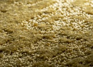 Фото - Ковры JAB Anstoetz Gobi - 573520>