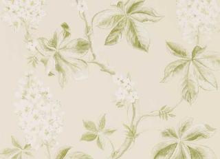 Фото - Обои Sanderson Country Woodland Wallcoverings - 622926>