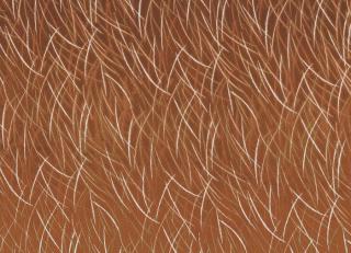 Фото - Ткани Casamance Astelia - 592626>