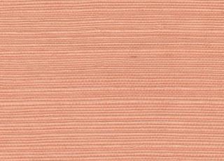 Фото - Обои Elitis Tribus - 621573>