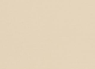 Фото - Рулонные шторы Screen All - 585691>