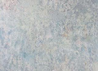 Фото - Обои Osborne & Little Enchanted Gardens - 324758>