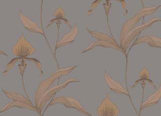 Фото - Обои Cole & Son Contemporary Restyled - 232212>