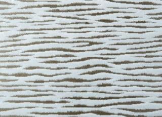 Фото - Ткани Clarke&Clarke Academy Velvets - 295505>