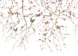 Фото - Обои Daisy Bennet Mural Collection - 618441>