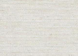 Фото - Обои Omexco Shades of Pale - 401572>