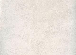 Фото - Обои Elitis Vintage Leather - 262428>