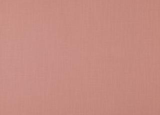 Фото - Ткани Дом CARO Polo - 533243>