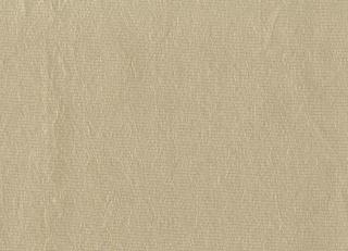 Фото - Ткани Rubelli Tiraz - 546380>