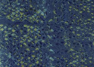 Фото - Обои Elitis Natural mood - 469439>