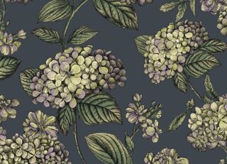 Фото - Обои Cole & Son Fornasetti Senza Tempo II - 626711>