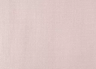 Фото - Ткани Pierre Frey Shabby - 630169>