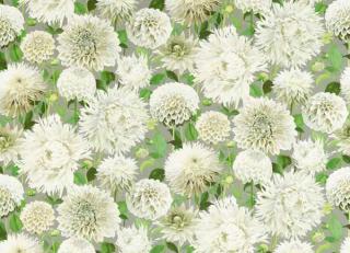 Фото - Ткани Harlequin Colour 2 Fabrics - 536154>