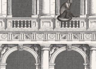 Фото - Обои Cole & Son Fornasetti Senza Tempo - 423527>