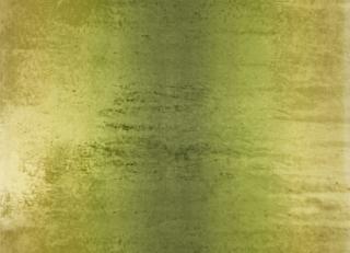 Фото - Ткани Designers Guild Bernardini - 285277>