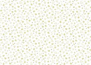 Фото - Обои Casadeco Rose & Nino - 557695>