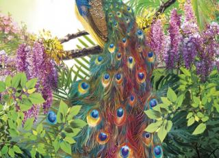 Фото - Обои Ortograf Paradise - 477309>