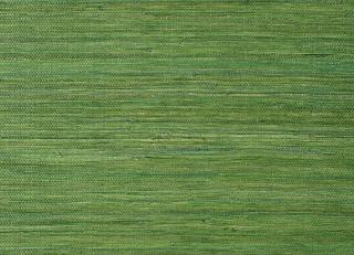 Фото - Обои Thibaut Grasscloth Resource 5 - 523882>