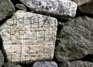 Фото - Обои Shinhan Natural  - 554935>