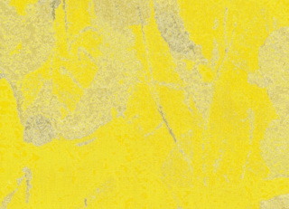 Фото - Ткани Rubelli Rococo - 625120>