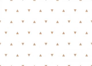 Фото - Обои Caselio Our Planet - 523124>