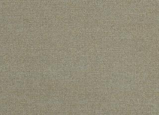 Фото - Ткани Clarke&Clarke Castilla - 362141>