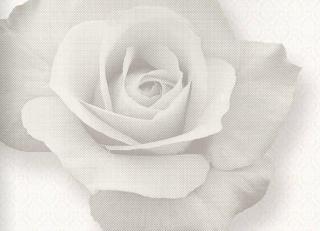 Фото - Обои Origin Park Avenue - 346242>