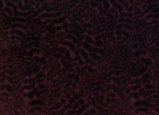 Фото - Ткани Nina Campbell Cathay Weaves - 260651>