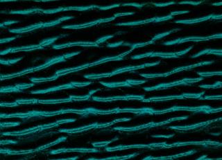 Фото - Ткани Alessandro Bini Flou Collection - 440151>