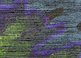 Фото - Обои Elitis Talamone - 378057>