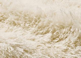 Фото - Ткани Misia Azur cotonneux - 507525>