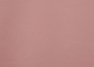 Фото - Ткани Prestigious Textiles Calm & Gentle - 442801>