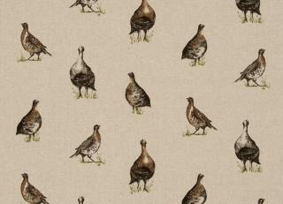 Фото - Ткани Clarke&Clarke Fougeres - 403296>