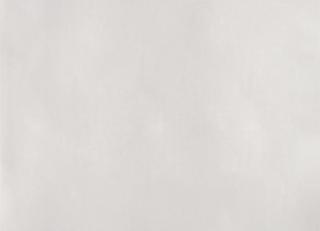 Фото - Обои Farrow & Ball Plain & Simple - 367024>