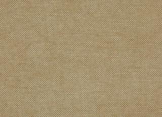 Фото - Ткани Colefax and Fowler Stratford - 520332>