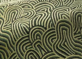 Фото - Ткани Pierre Frey Fantasy Fabrics - 624694>