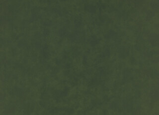 Фото - Ткани Kirkby design Hide Vegan Leathers - 631358>