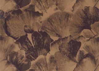 Фото - Ткани Zoffany The Muse Fabrics - 373095>