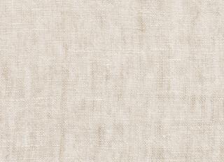 Фото - Ткани Dedar Wide Linen Leggerissimo - 563055>