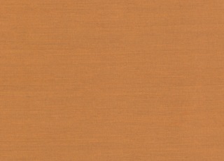 Фото - Обои Nobilis Seta - 625836>