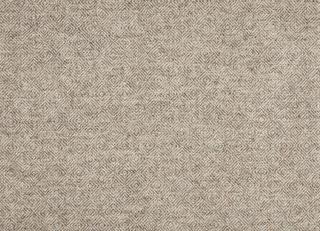 Фото - Ткани Moon Transitional - 521359>