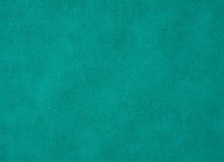 Фото - Обои Caselio Curiosity - 223593>