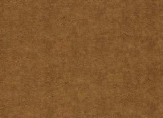 Фото - Ткани Clarke&Clarke Dawson - 530154>