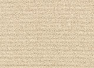 Фото - Ткани Kirkby design Graphic Nature - 606819>