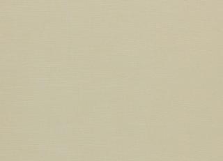 Фото - Ткани Clarke&Clarke Paradiso - 600238>