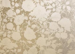 Фото - Ткани Rubelli Malipiero - 545919>