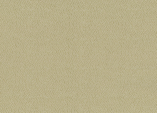 Фото - Ткани Rubelli Sharky - 624113>