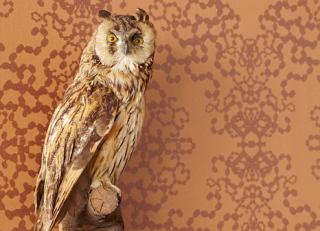 Фото - Обои Eijffinger Luz - 202610>