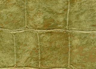 Фото - Обои Elitis Anguille Big croco Legend - 469476>