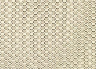 Фото - Ткани Loris Zanca Savoia Velvet - 361679>